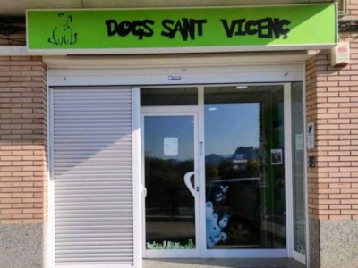 Dogs Sant Vicenç (Sant Vicenç de Castellet)