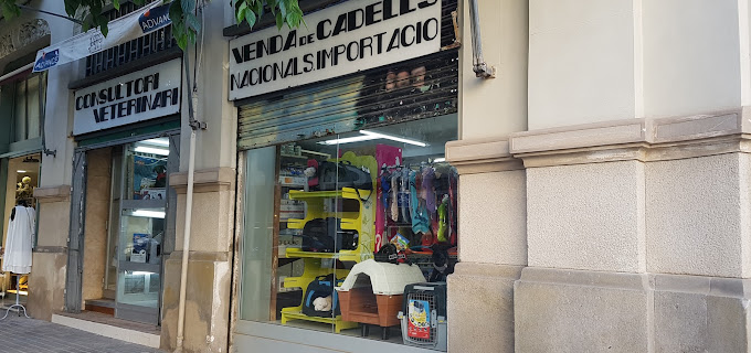 Don Perro (Barcelona)