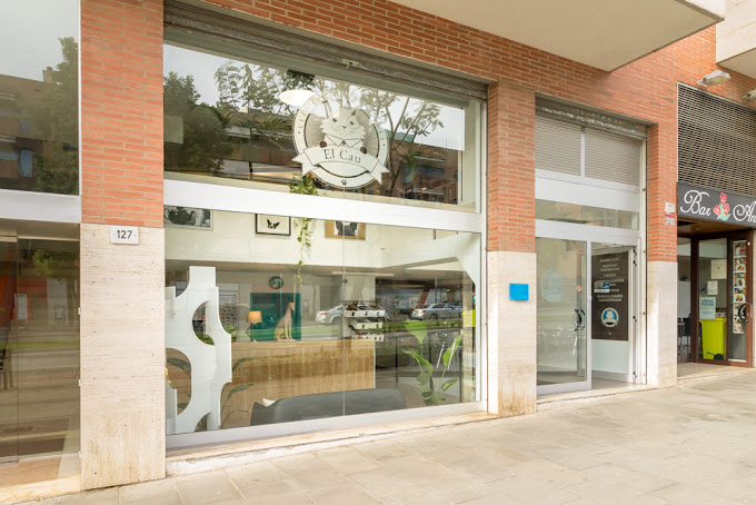 El Cau Veterinari (Cornellà de Llobregat)