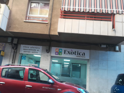 Exòtica Veterinaris (Mataró)