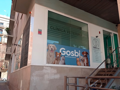 Family Vet (Barcelona)