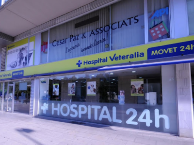 Hospital Veteralia Movet (Mollet del Vallès)