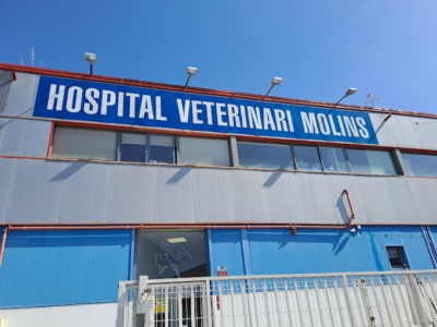 Hospital Veterinar Molins (Sant Vicenç dels Horts)