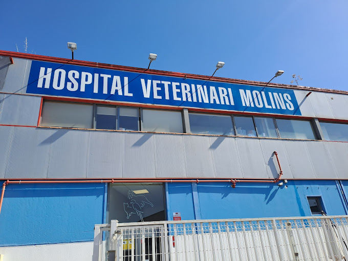 Hospital Veterinar Molins (Sant Vicenç dels Horts)
