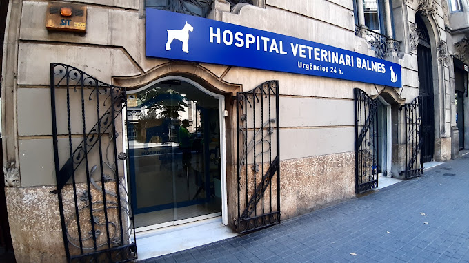 Hospital Veterinari Balmes (Barcelona)