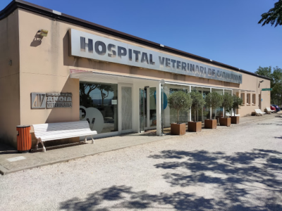 Hospital Veterinari de Catalunya (Òdena)