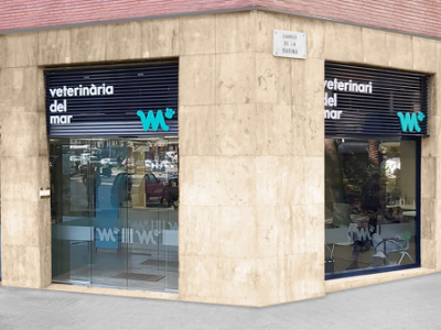 Hospital Veterinari del Mar (Barcelona)
