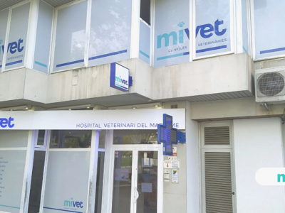 Hospital Veterinari del Maresme (Mataró)