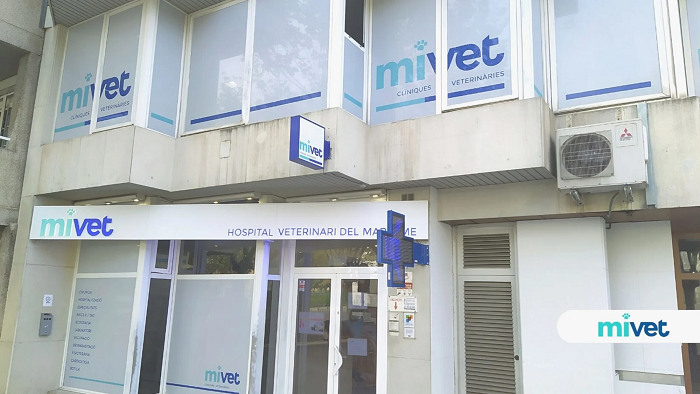 Hospital Veterinari del Maresme (Mataró)