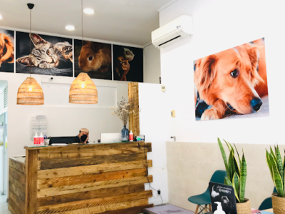 Hospital Veterinari Mataró (Mataró)