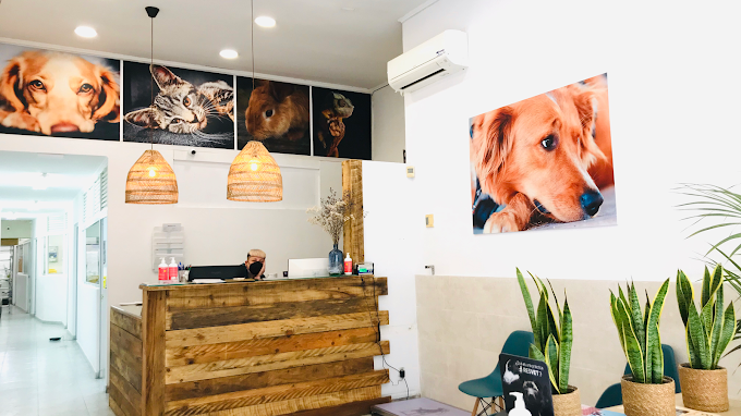 Hospital Veterinari Mataró (Mataró)