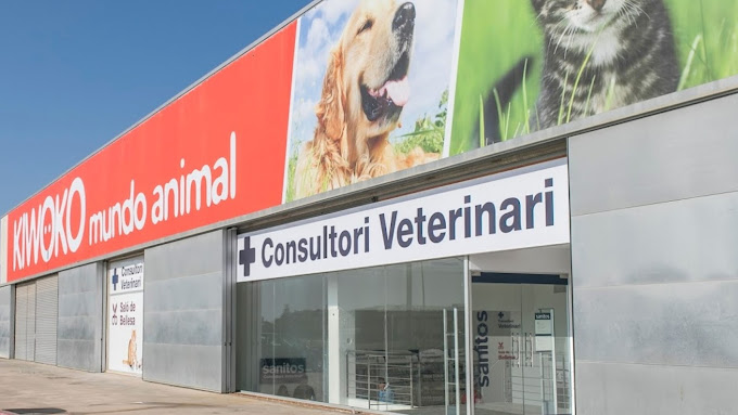 Kivet Santa Susanna (Santa Susanna)