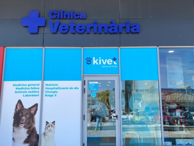 Kivet Terrassa (Terrassa)