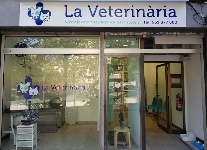 La Veterinària (Barcelona)