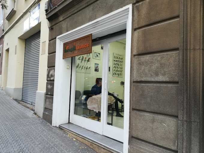 Maragall Exòtics (Barcelona)