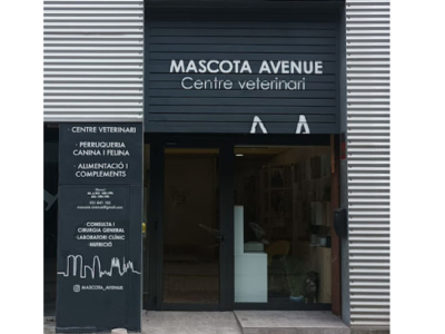 Mascota Avenue (Barcelona)
