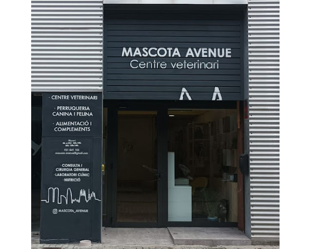 Mascota Avenue (Barcelona)