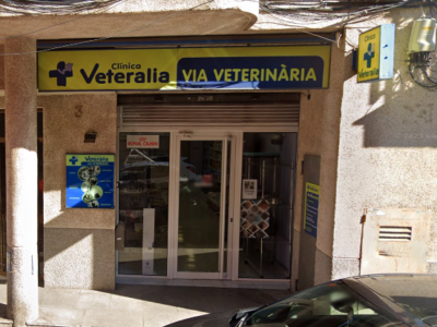 Medivet (Castellbisbal)