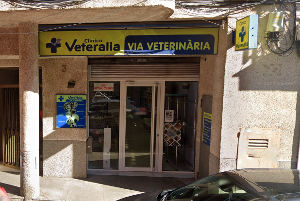 Medivet (Castellbisbal)