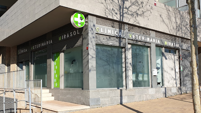 Medivet Mirasol (Sant Cugat del Vallès)