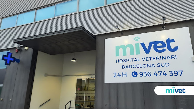 Mivet Hospital Veterinari Barcelona Sud (Viladecans)