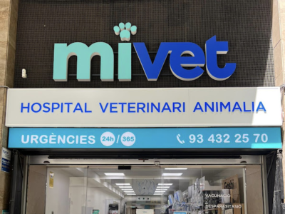 Mivet Hospital Veterinari Animalia (Barcelona)