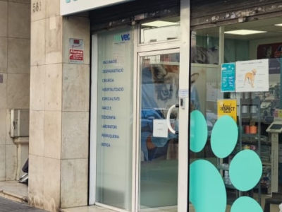 Mivet Sant Mori (Badalona)