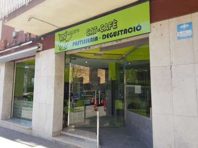 Mixu's cat-cafè Veterinaris (Granollers)