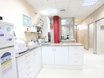 Nouclinic Veterinaris (Sant Quirzé del Vallès)