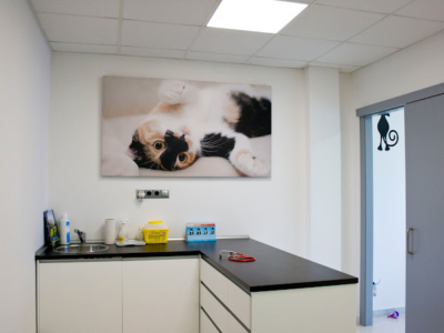 Pinetons Veterinària (Ripollet)