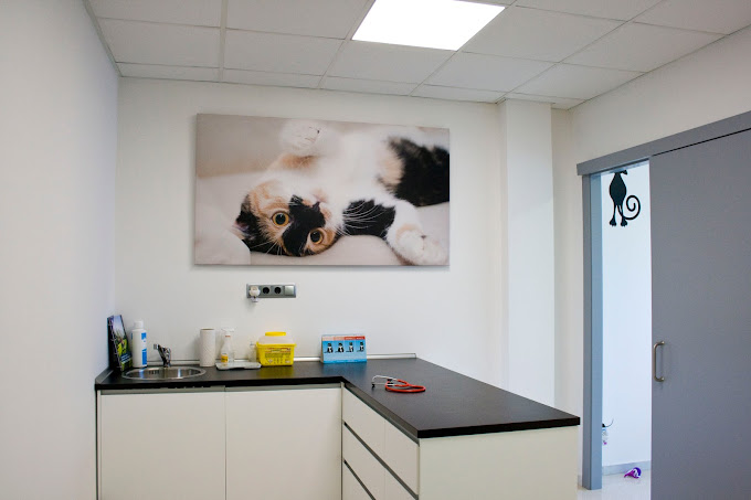 Pinetons Veterinària (Ripollet)