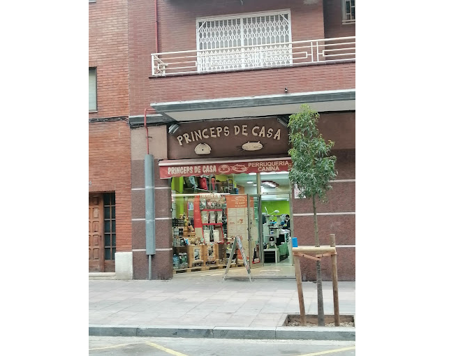 Prínceps de Casa (Barcelona)