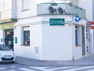 Ribesvet (Sant Pere de Ribes)