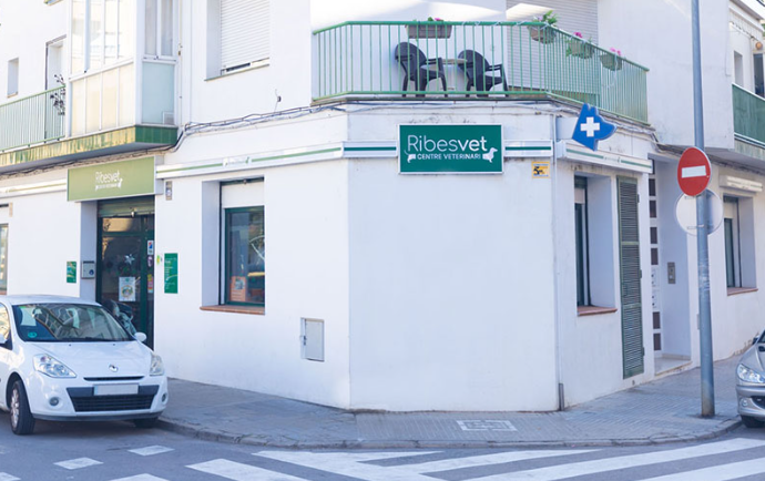 Ribesvet (Sant Pere de Ribes)