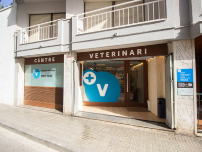 Roc Verd Veterinària - HVC Sant Feliu (Centre Sant Feliu de Llobregat)