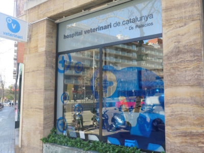 Roc Verd Veterinària (Sarrià) - HVC Sarrià (Barcelona)