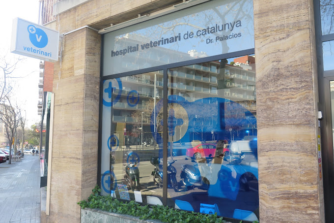 Roc Verd Veterinària (Sarrià) - HVC Sarrià (Barcelona)