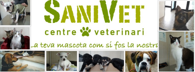 Sanivet Centre Veterinari (Palau-Solità i Plegamans)