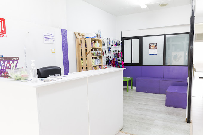 Sant Antoni Veterinari (Mataró)