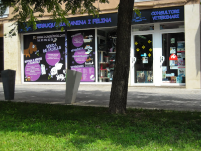 Bcn Animals (Barcelona)