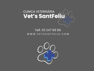 Vet's SantFeliu (Sant Feliu de Llobregat)