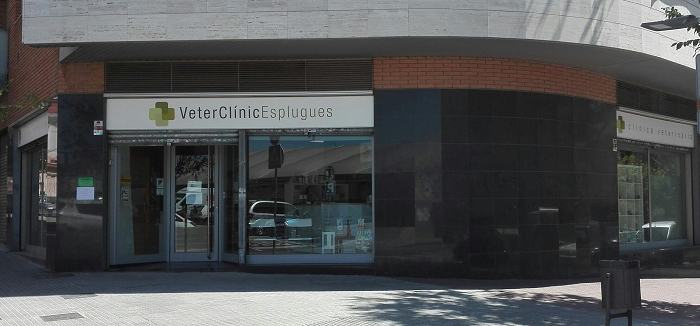 Veterclinic (Esplugues de Llobregat)