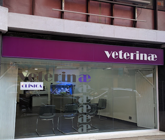 Veterinae Clínica Veterinària (Barcelona)
