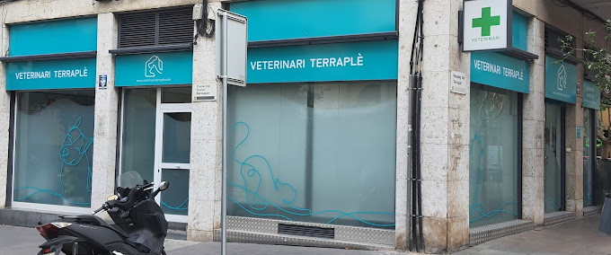 Veterinari Terraplè (Molins de Rei)