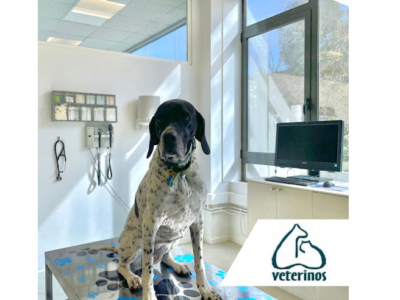 Veterinos (Sant Cugat del Vallès)