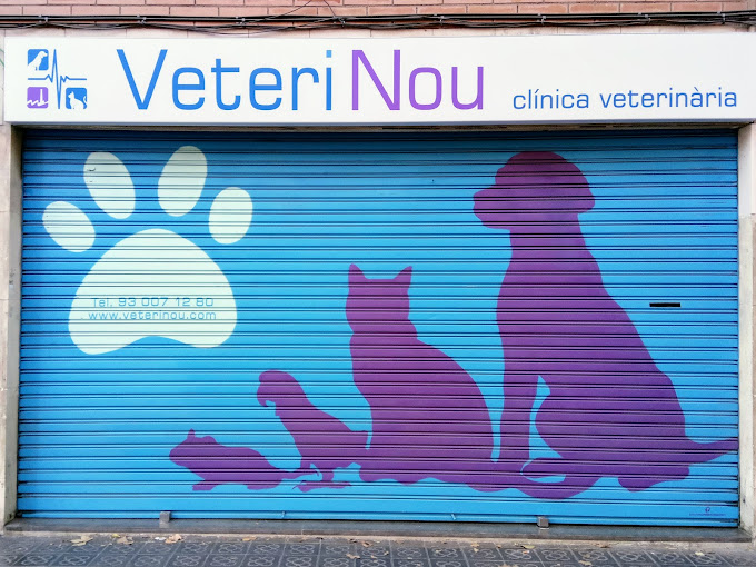 Veterinou Clínica Veterinària (Barcelona)