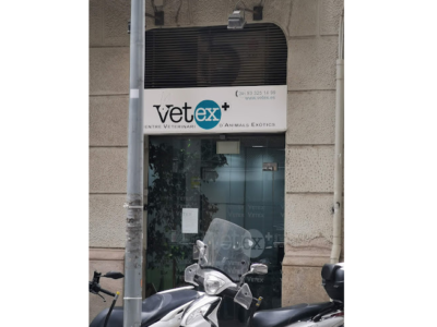 Vetex (Barcelona)