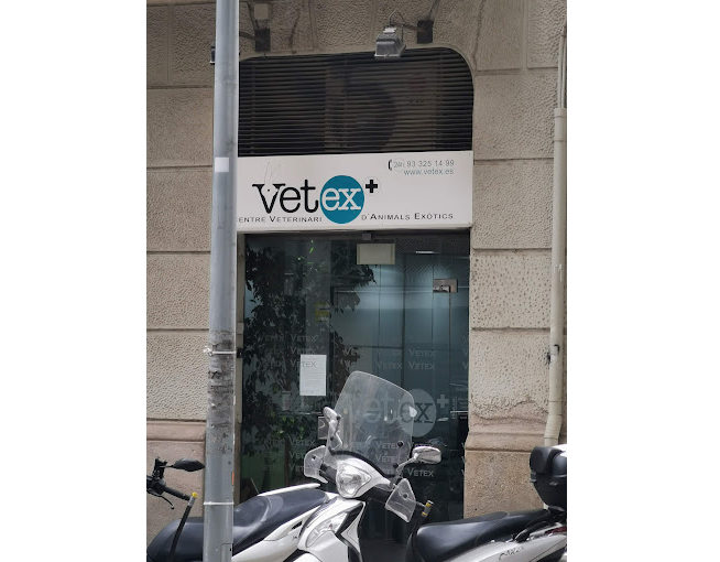 Vetex (Barcelona)