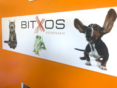 Bitxos Veterinaris (Alella)