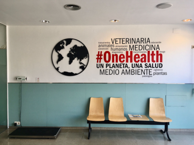 Vets Clínica Veterinària (Castelldefels)